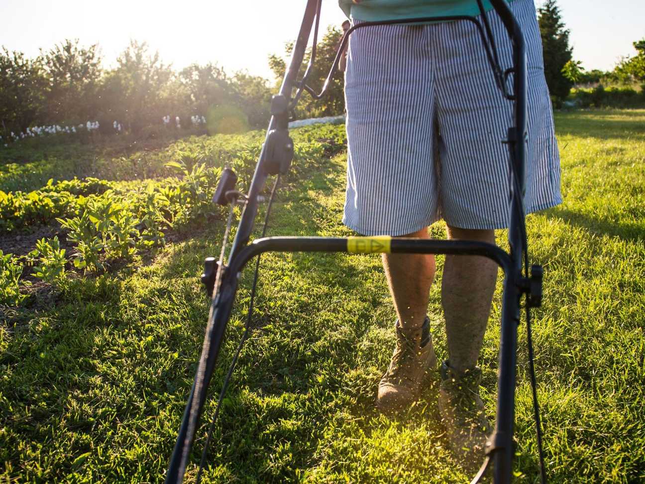 Mowing a green lawn with a push mower